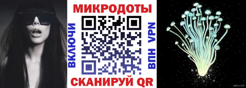 Галлюциногенные грибы Psilocybe Купить Георгиевск